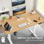 Light Oak Standing Desk Workspace
